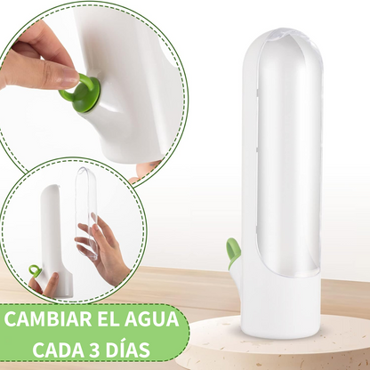 FreshHerb Conservador de Verduras Mágico